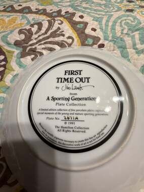 The Hamilton Collection First Time Out Plate by Jim Lamb